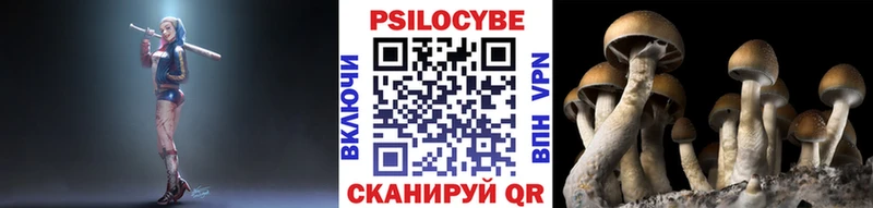 Псилоцибиновые грибы Psilocybe  Агидель 